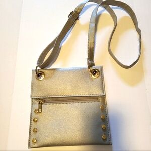 Silver and Gold Crossbody